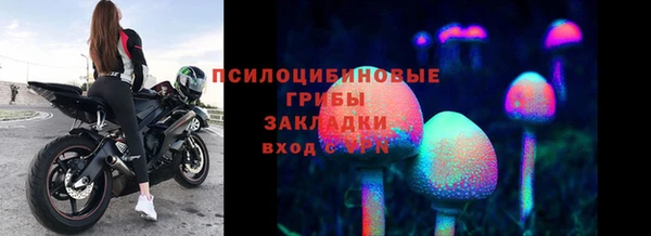 молекула духа Аркадак