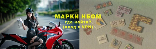 сатива Армянск