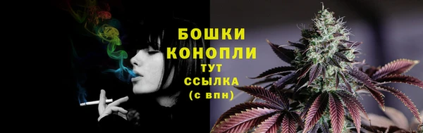 молекула духа Аркадак