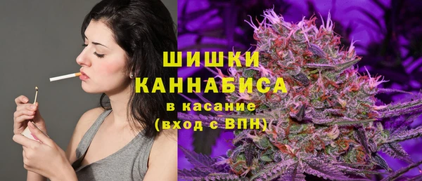 молекула духа Аркадак