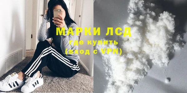 сатива Армянск