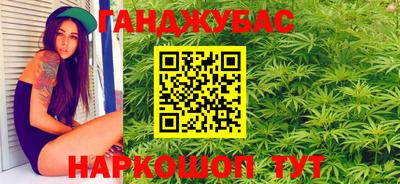 мдпв Камень-на-Оби