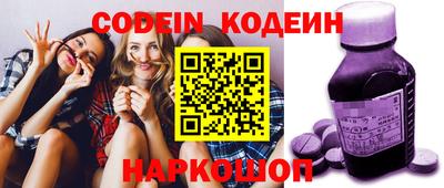 мдпв Камень-на-Оби
