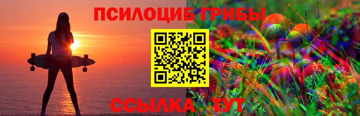 хочу наркоту  Галлюциногенные грибы прущие грибы  Вход с VPN  Балтийск  Псилоцибиновые грибы мицелий 