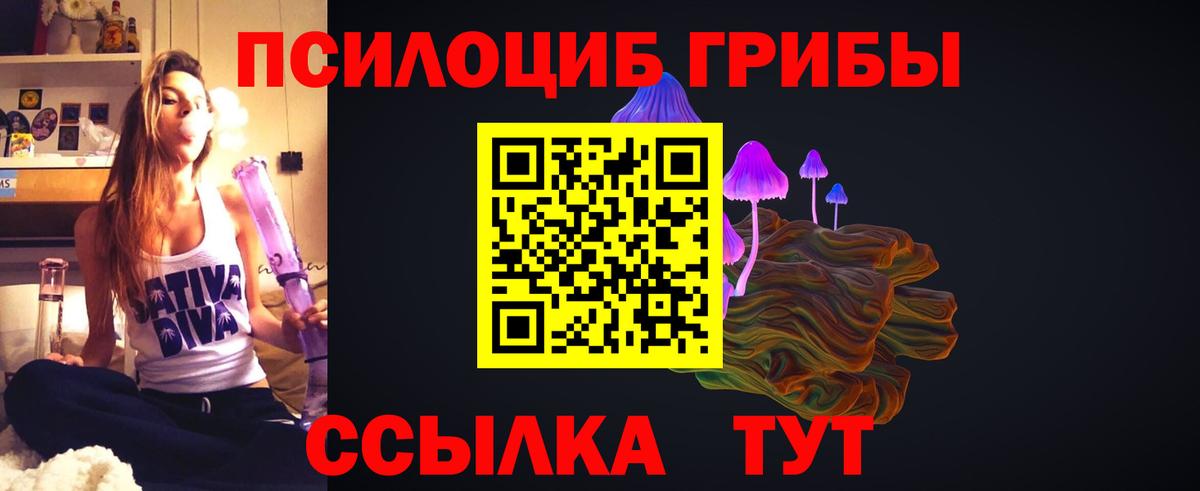 Галлюциногенные грибы мицелий Балтийск